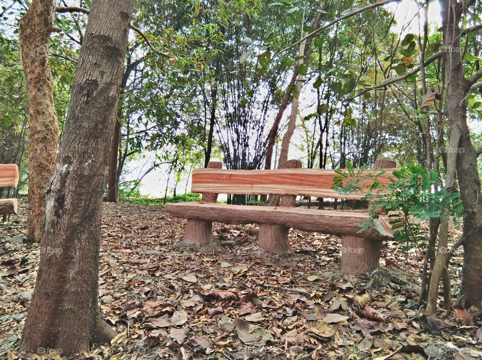 Wooden Bench or seating arrangement in Garden or park with Surrounding Nature.