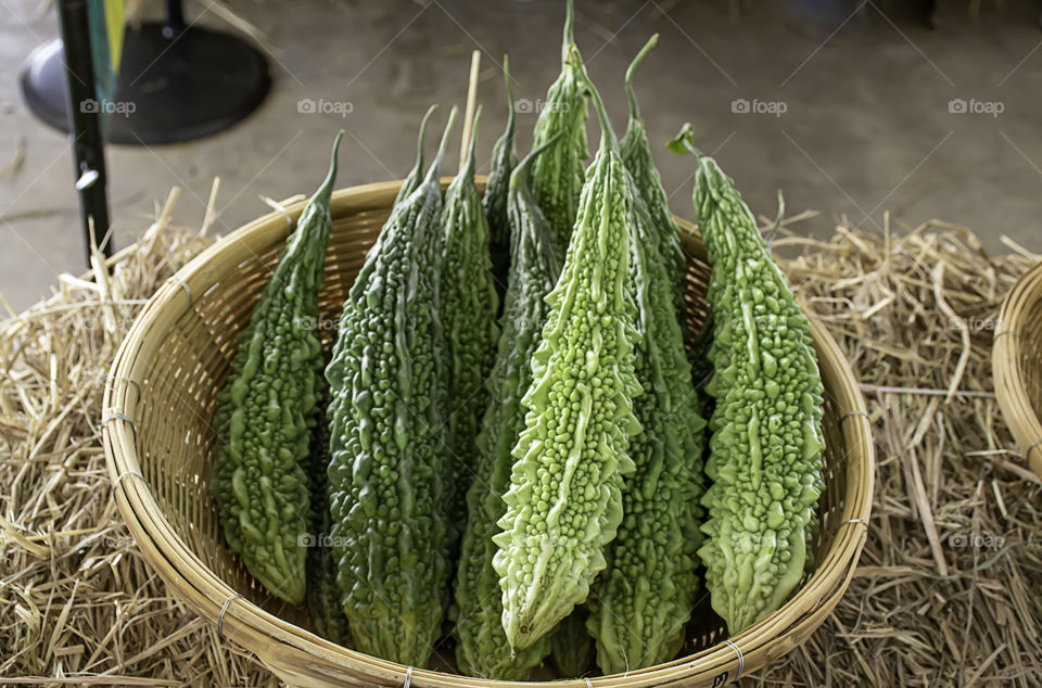 Bitter gourd fresh from the garden in bamboo baskets.