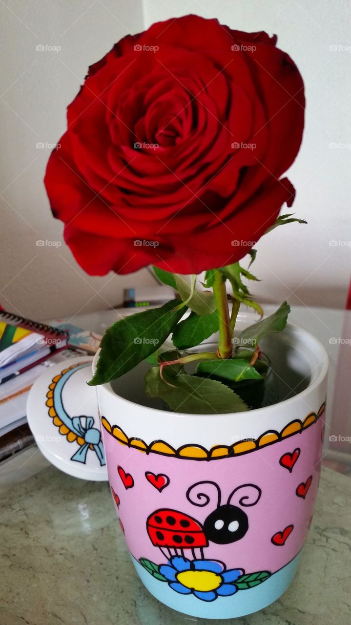 flowers. flowers red