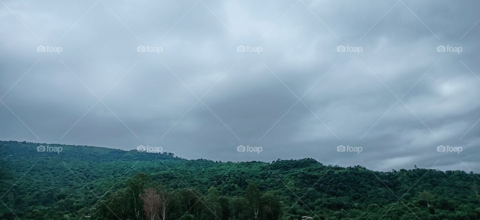 rains in forest