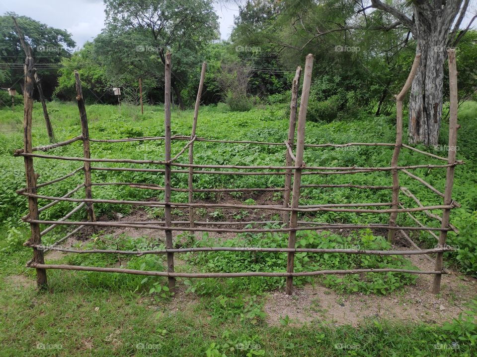 a image of rural areas platetion