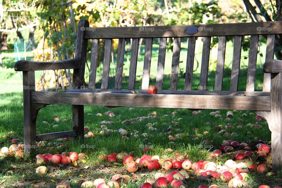 Apple on grass near the bench