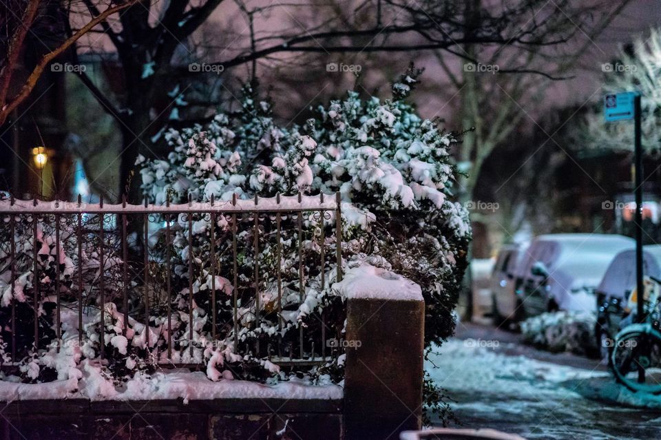 View of snow on railing