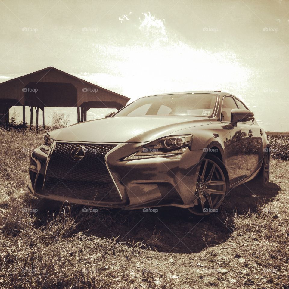 Lexus on the farm.
