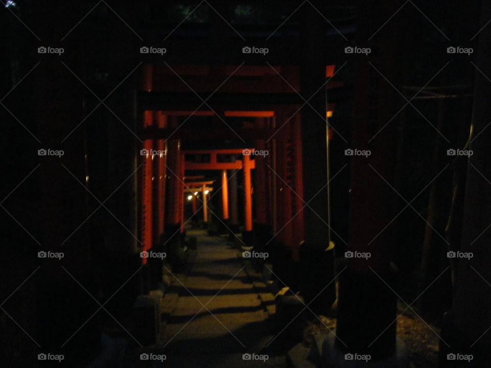 Night torii gates