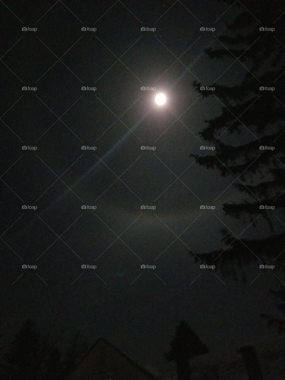 Ring around the moon at night.
