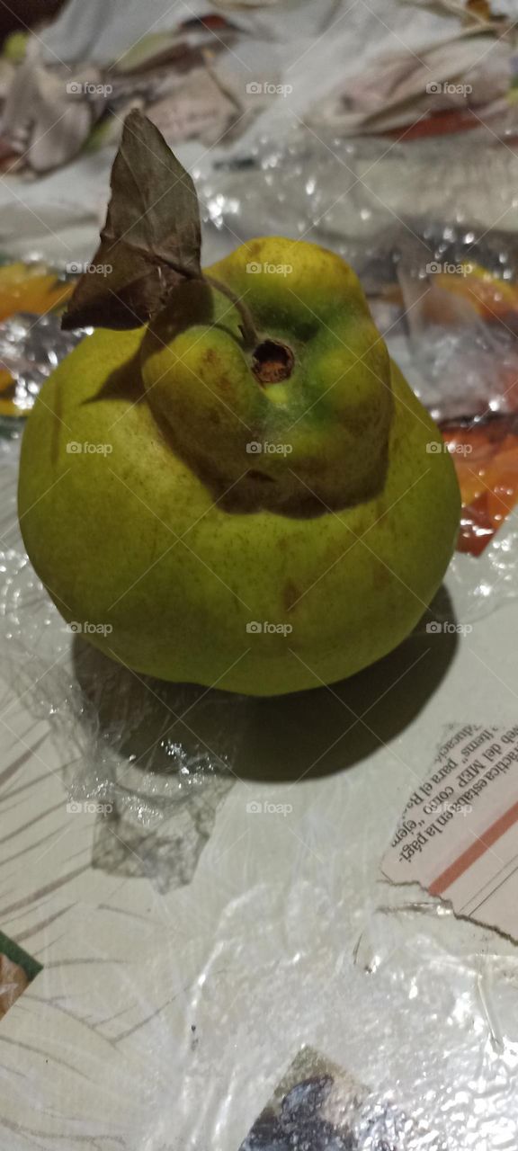 Deliciosa fruta membrillo Costa Rica CentroAmerica propiedad de Osvin