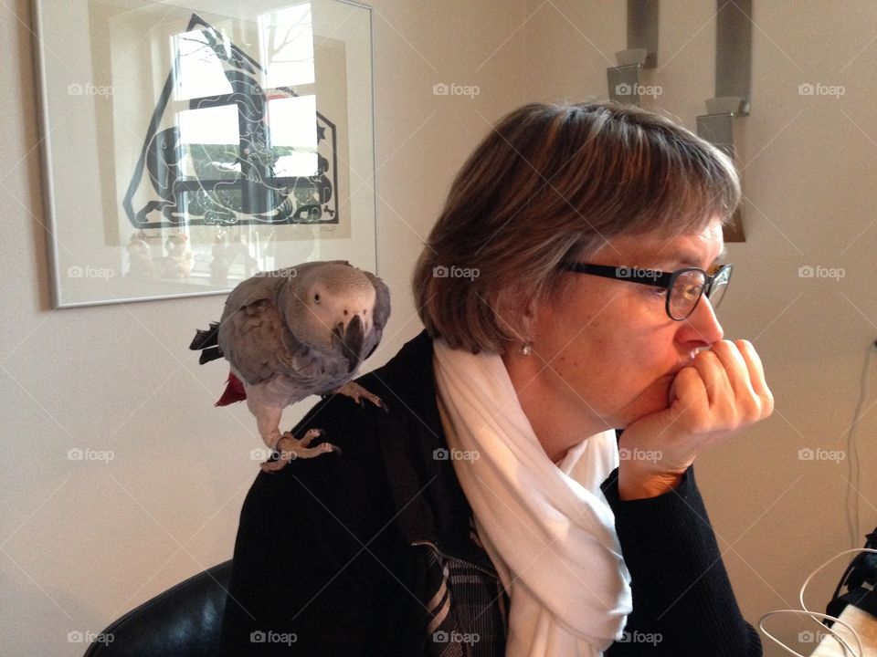 Parrot on shoulder 