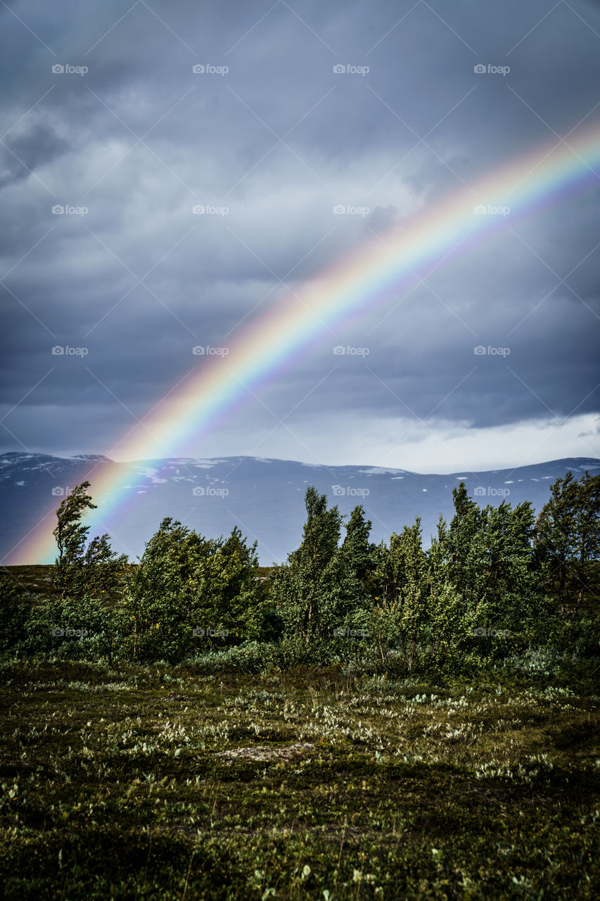 Under the Rainbow