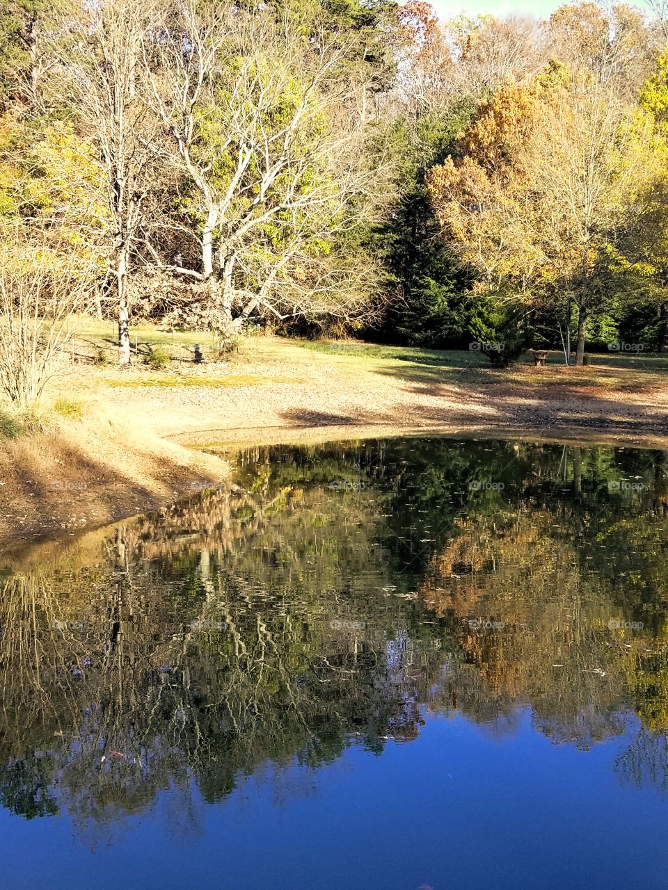 Beautiful pond in the fall