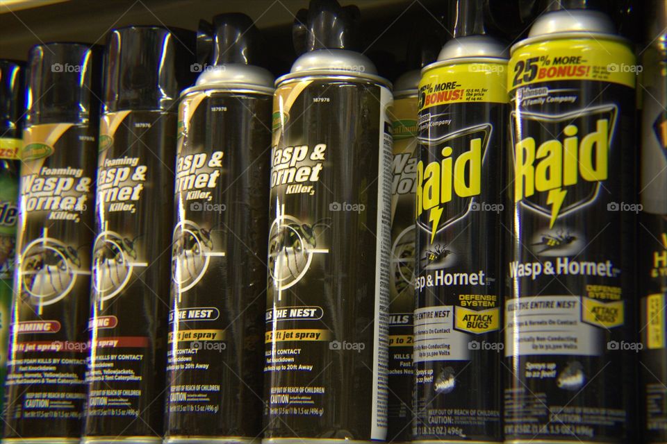 Cans of Bee & Wasp Spray on Shelf