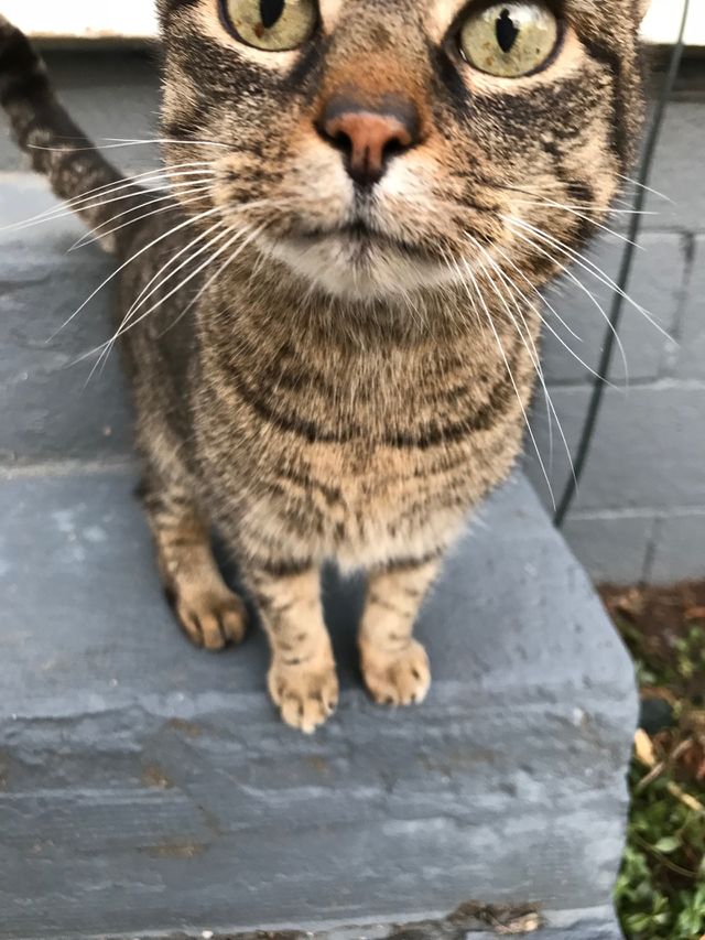 Sweet girl