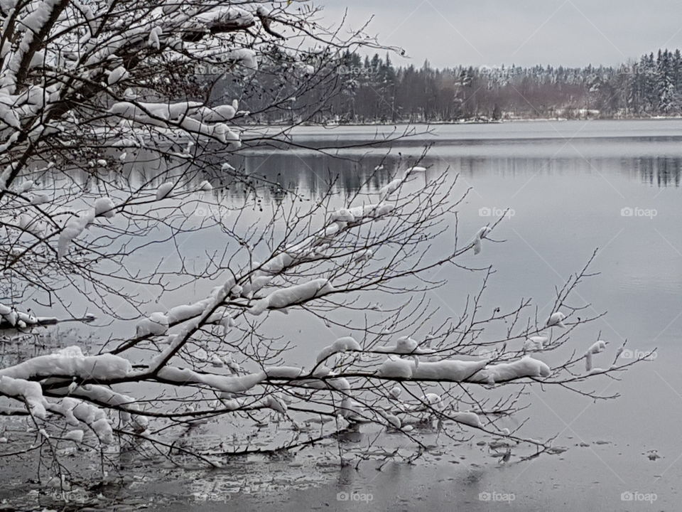Winter lake view