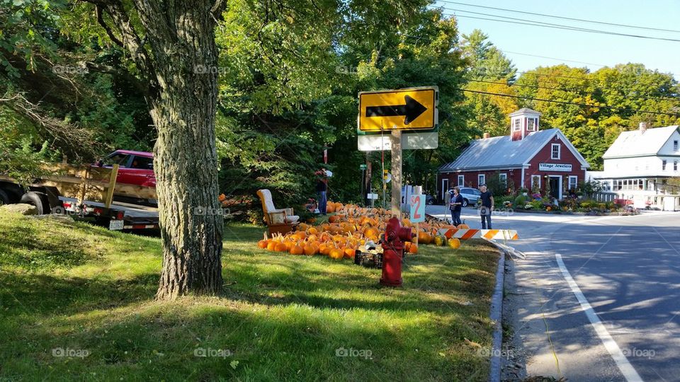 Roadside Pumpkin Sales