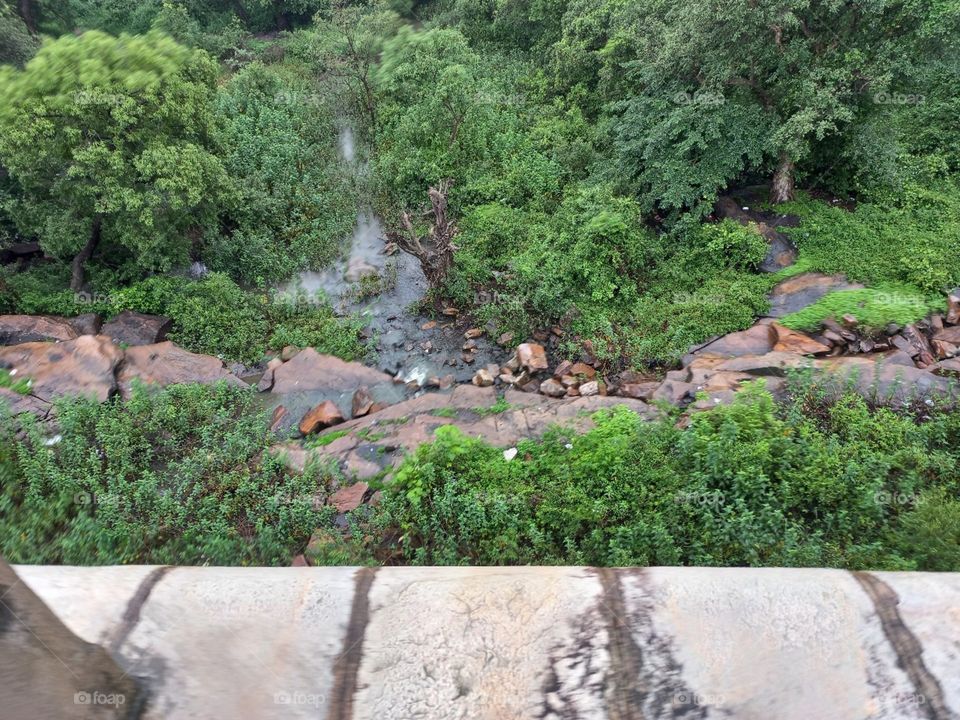 If there's one place we go above all others when we need to relax it's the forest. You could say we were lovers of forest bathing before that was even a thing! Walking between old trees is almost meditative and something we try to do at least once