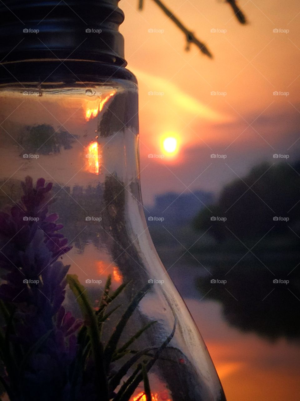 Sunrise in the city. Sun Through Lamp with Flowers on Reflection Background in River