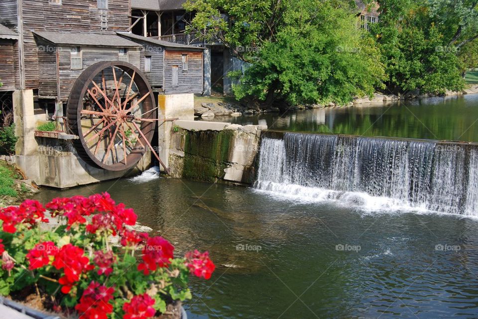 Water wheel water fall flowers