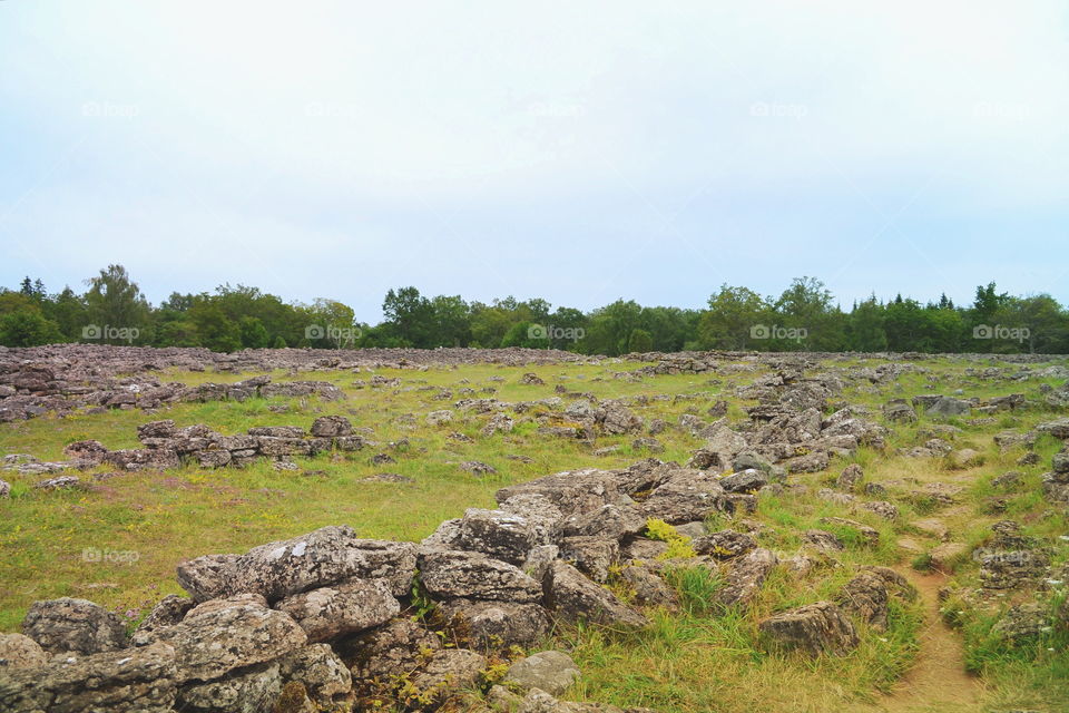 Landscape, No Person, Grass, Nature, Sky