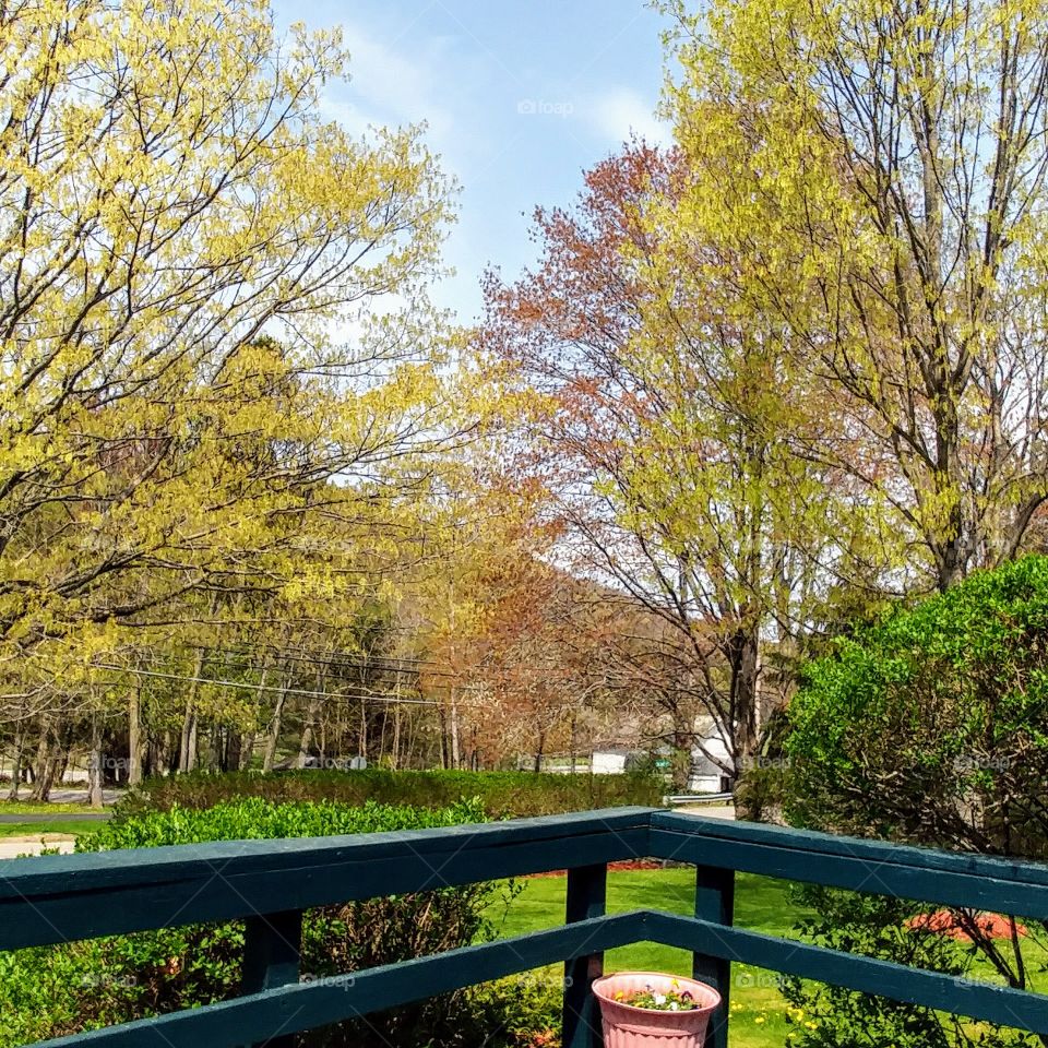 A view from the deck