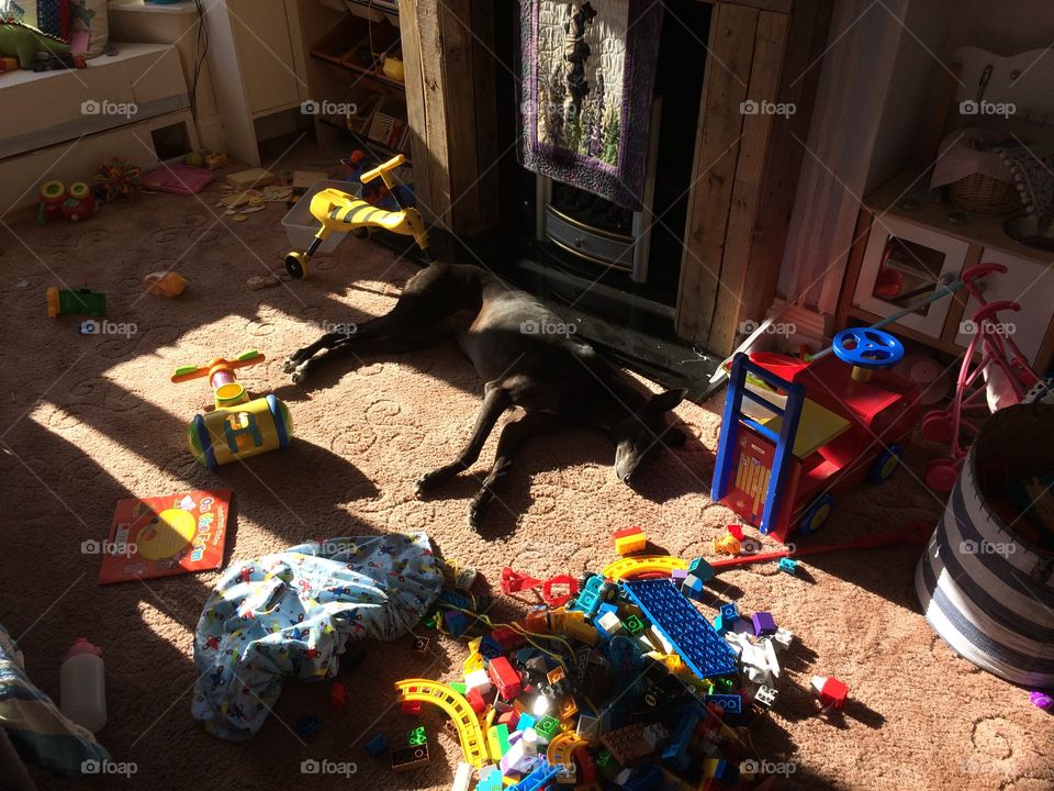 After my son worked through the entirety of his toy box, shelving and baskets, the dog was not to be put off from her favourite sunny spot!!!! 