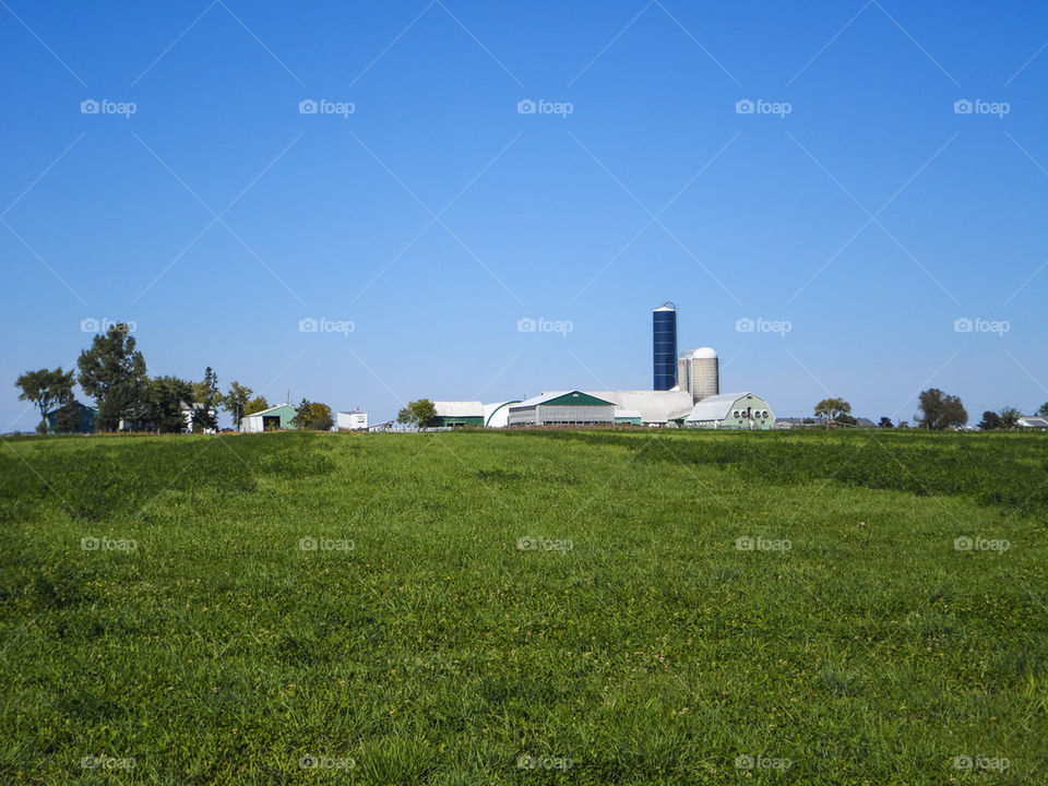 Farm field and blue skies