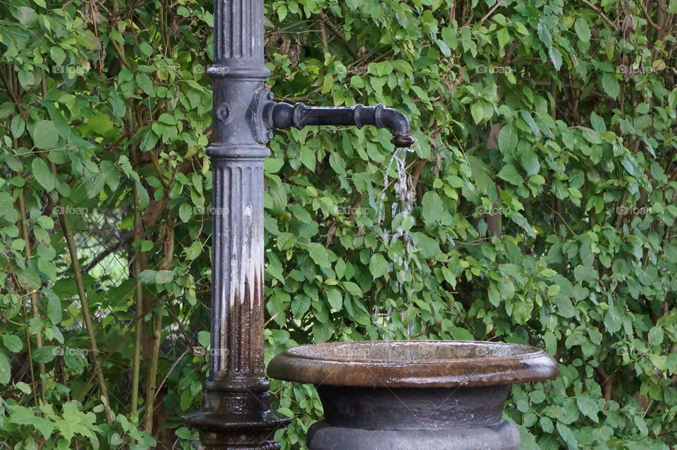 leaves water iron fountain by lexlebeur