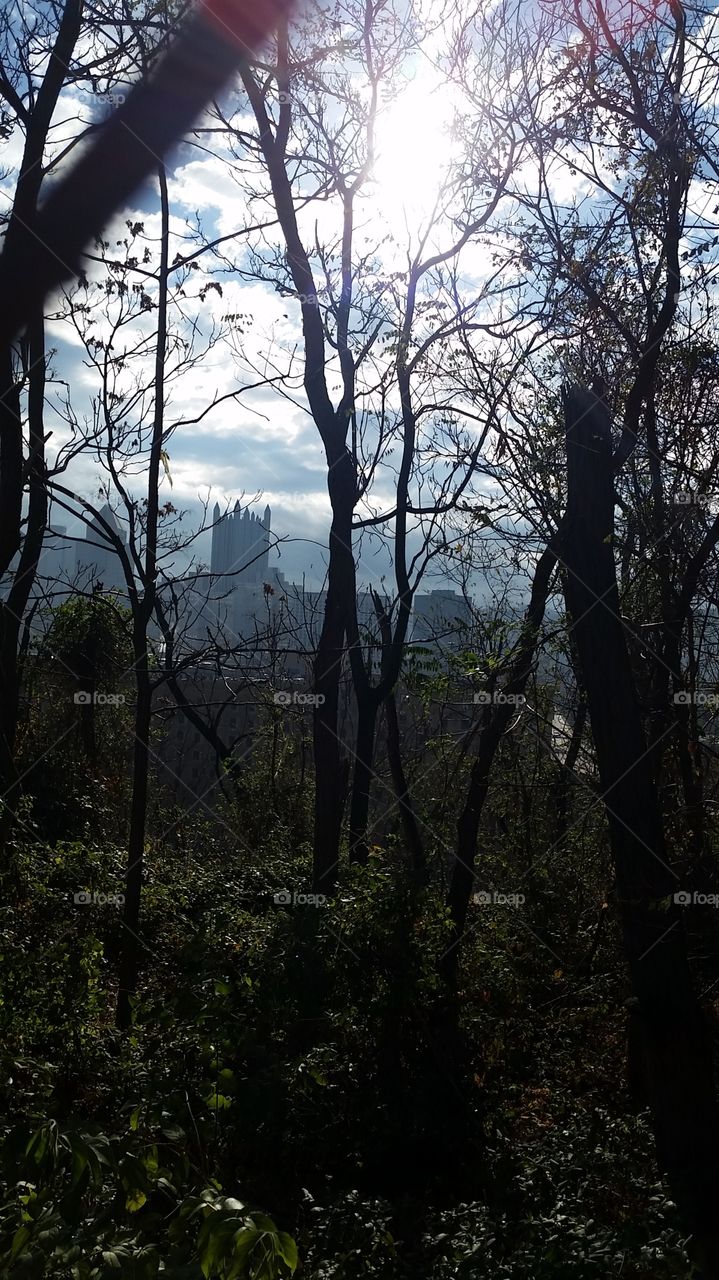 part of Pittsburgh's skyline through the trees surrounding my parking lot at work