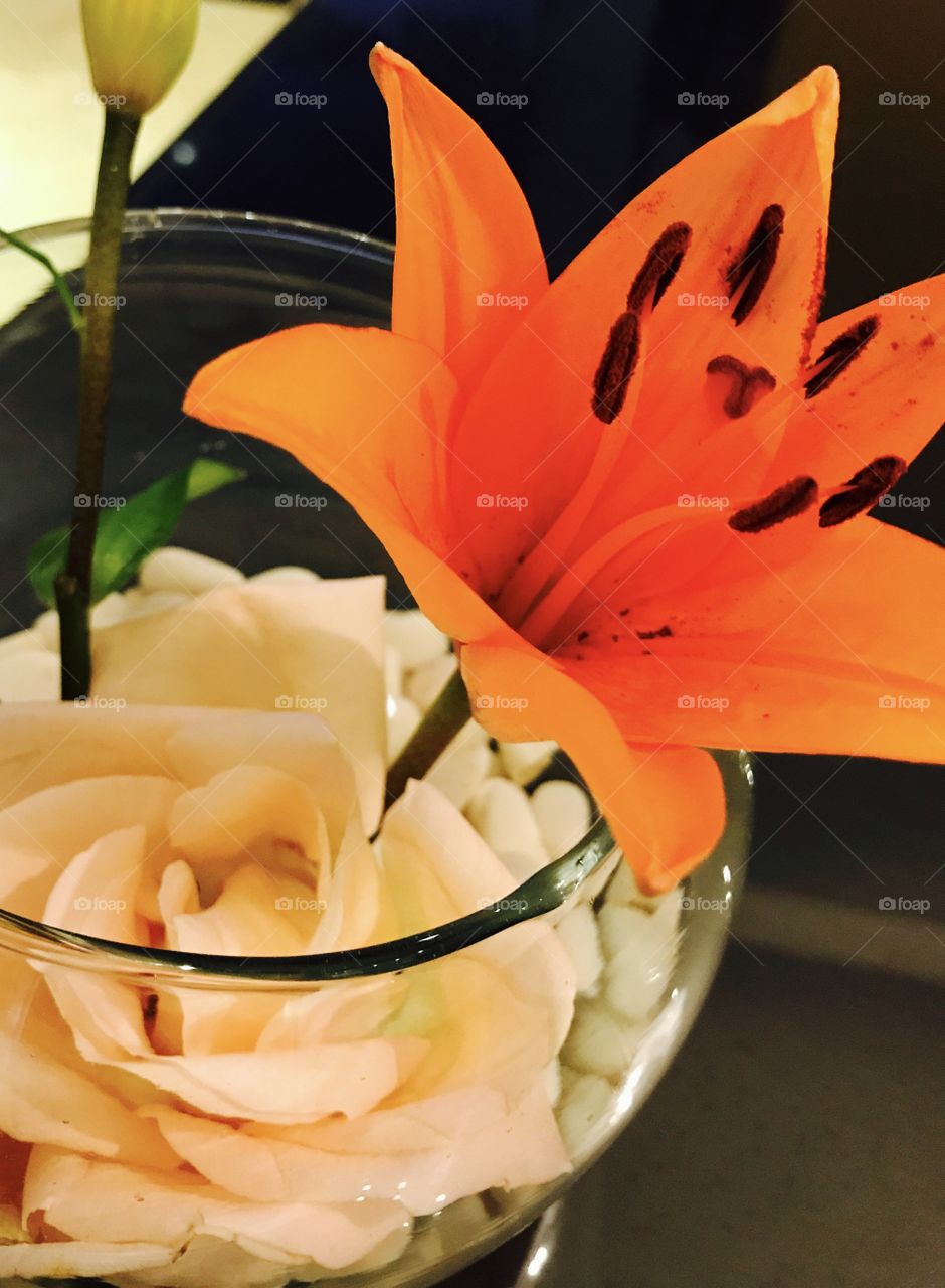 Smell of summer! ☀️ 