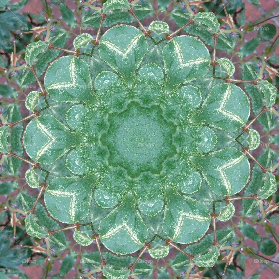 green mandala