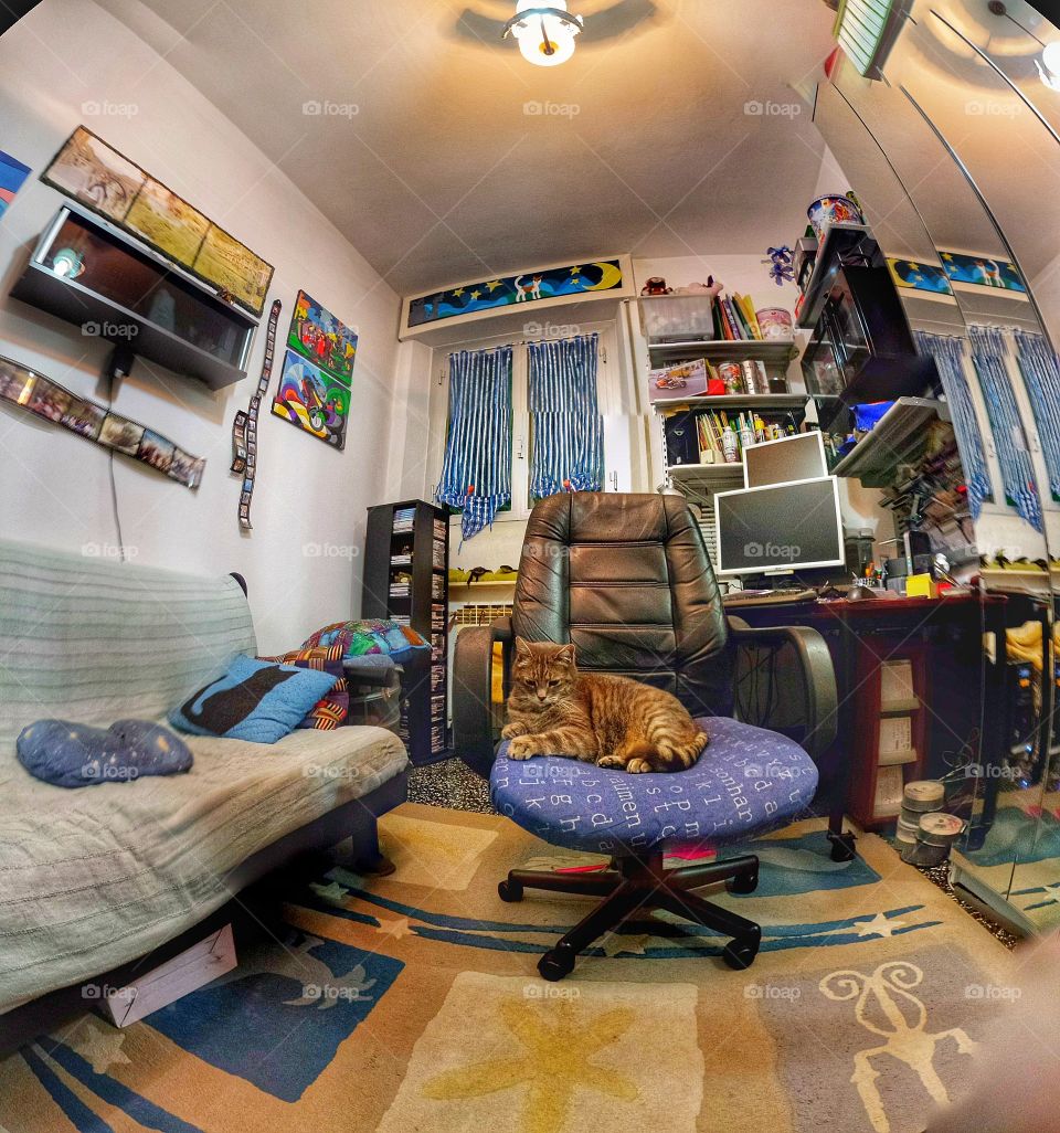 Fish eye in the room