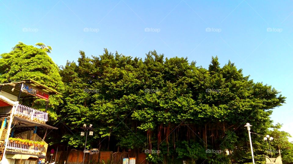 Scenery of Tamsui District, New Taipei City, Taiwan_009996