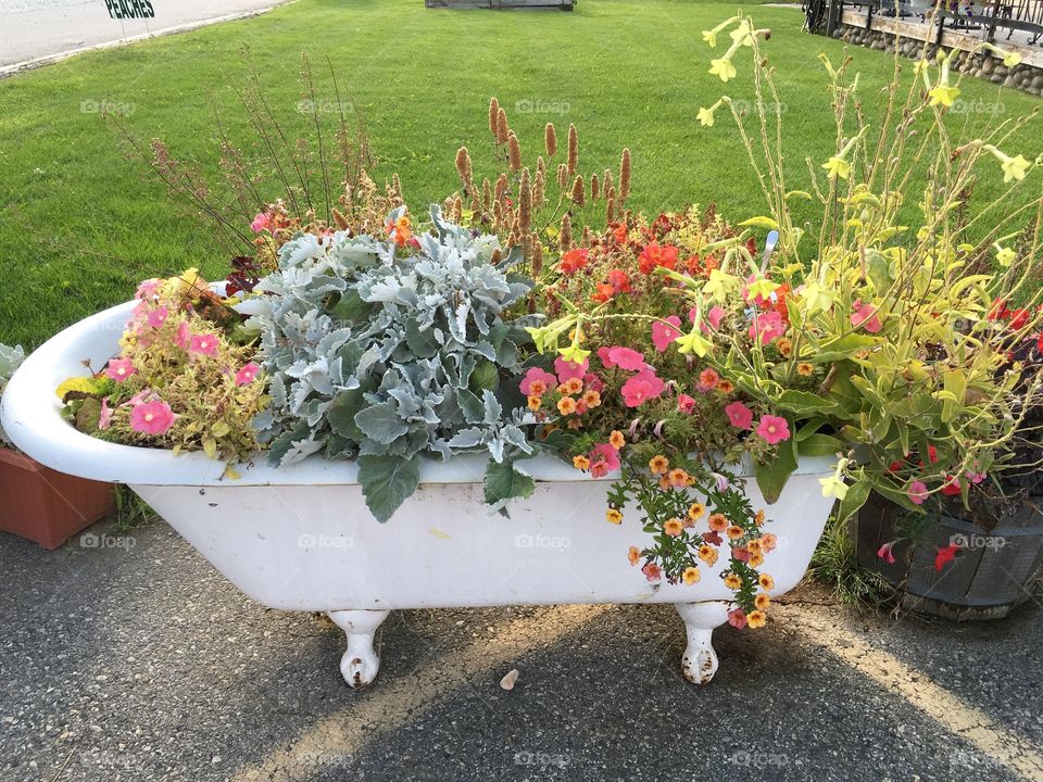 Flower Arrangement 