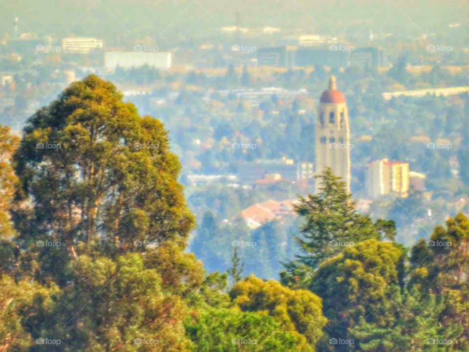 Stanford University