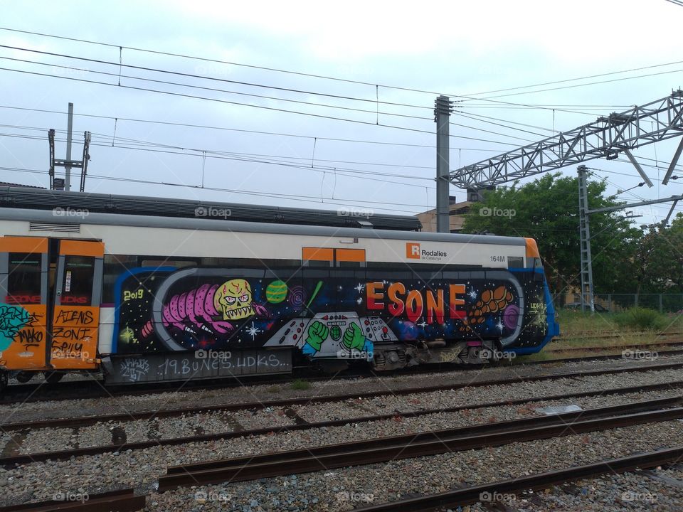 Tren con graffitis parado en la estación
