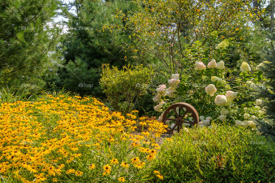 A lovely garden topped off with an artistic wheel.