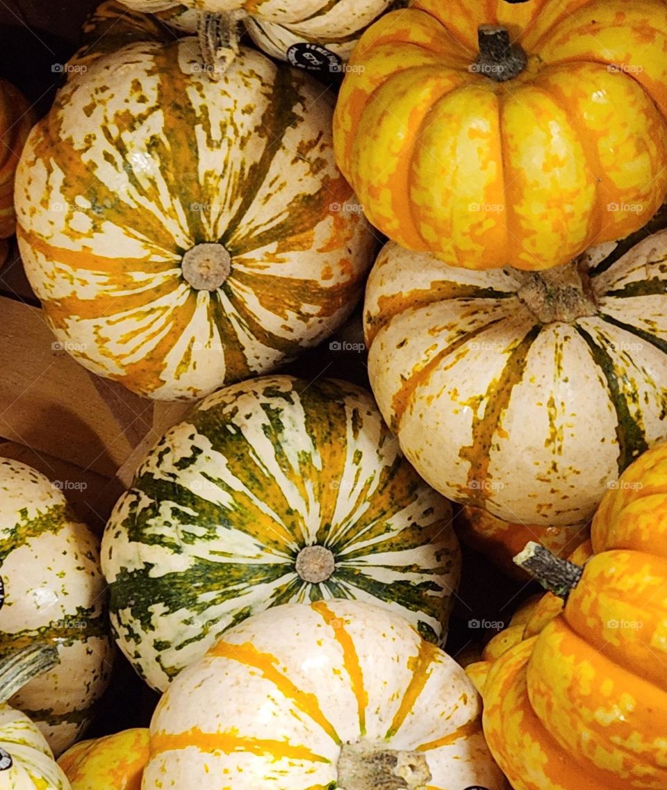 close up of striped orange white and green small round pumpkins for sale in an Oregon store in Autumn