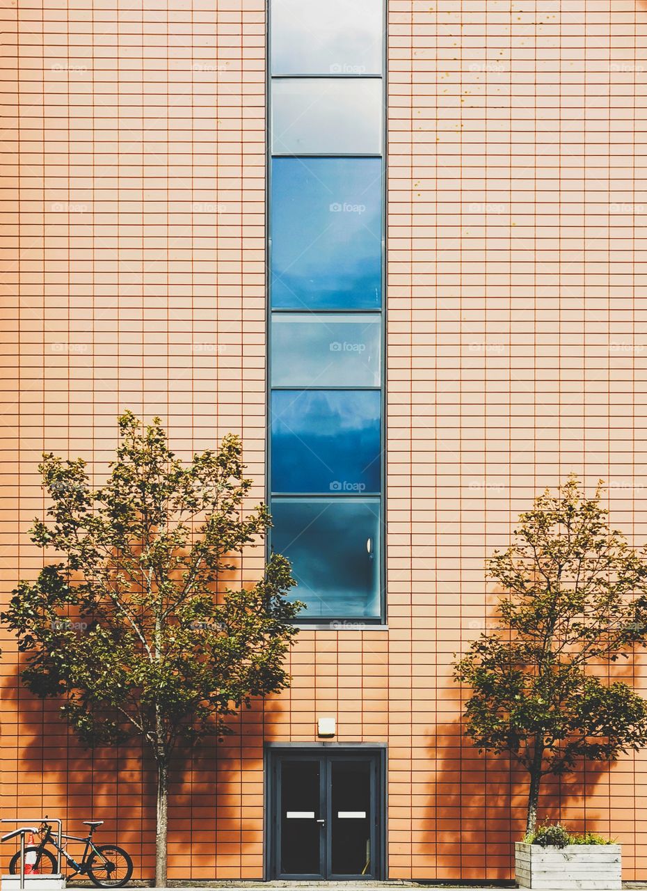 Trees in front of building