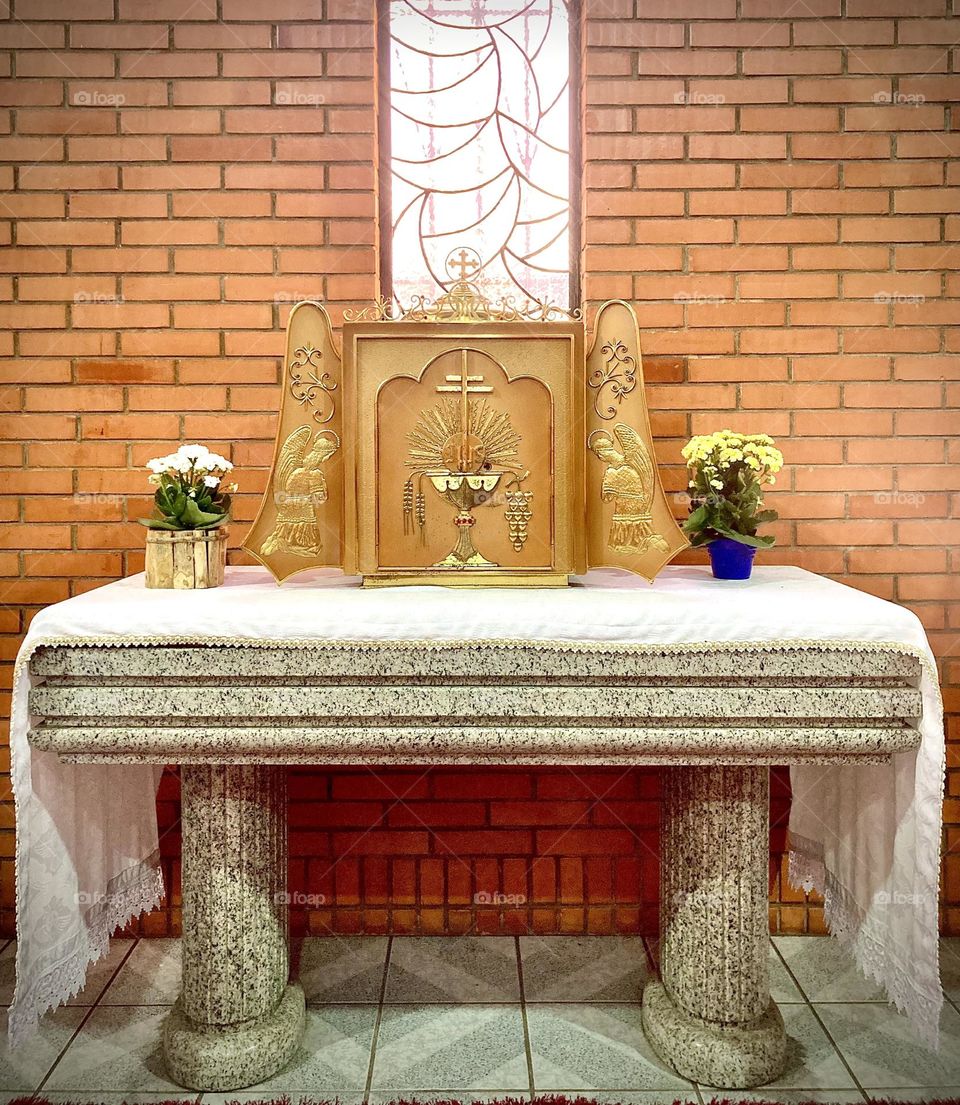 🇺🇸 Whenever you can, worship Jesus Christ in the Blessed Sacrament! / 🇧🇷 Sempre que puder, adore Jesus Cristo no Santíssimo Sacramento!