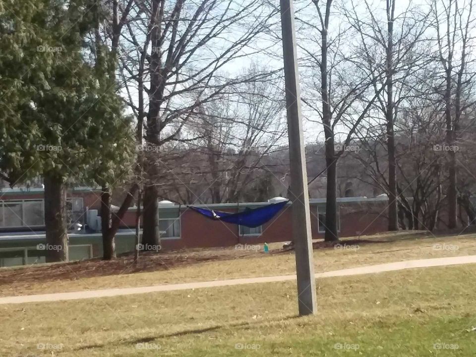 Blue hammock