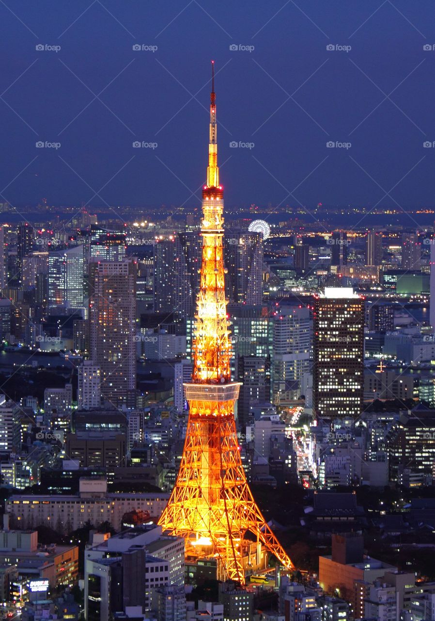  Fascinating Tokyo 🇯🇵. City lights. Tokyo Tower. 