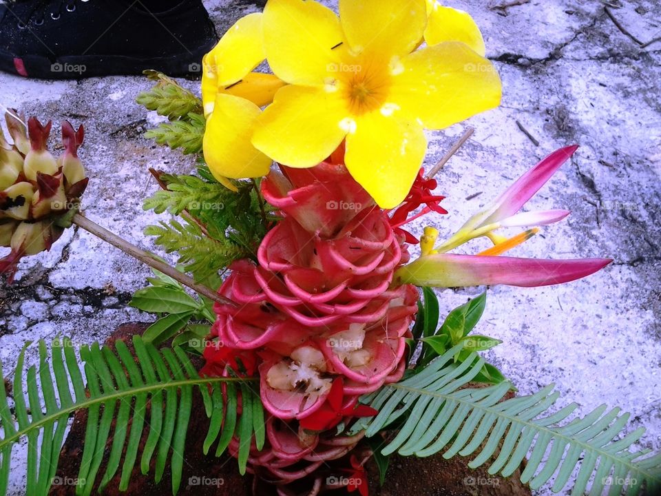 wild flower composition act