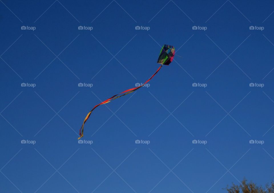 Kite Flying