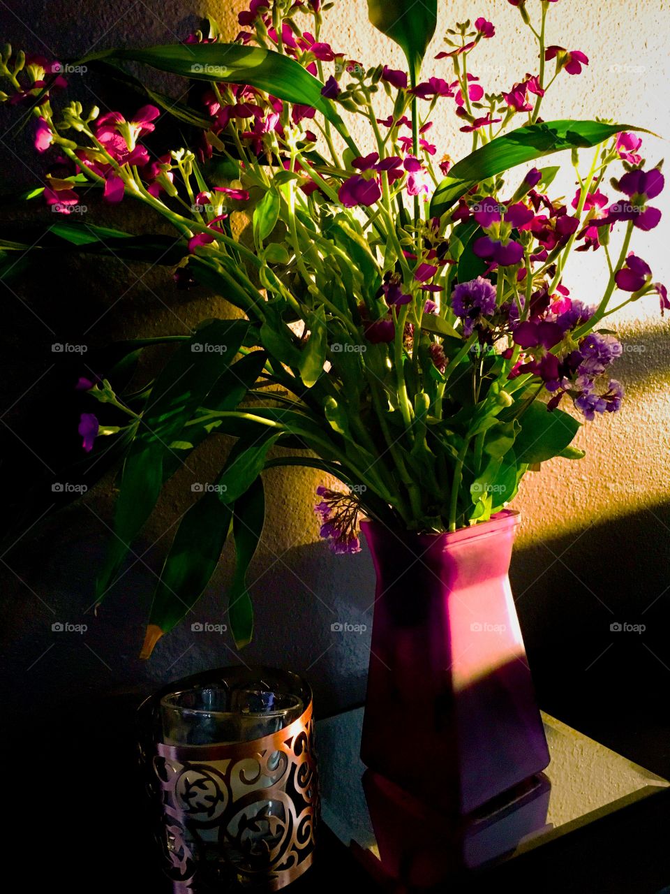 Warm Glow on Purple Flowers