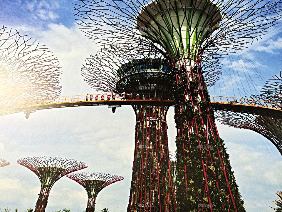Gardens by the bay