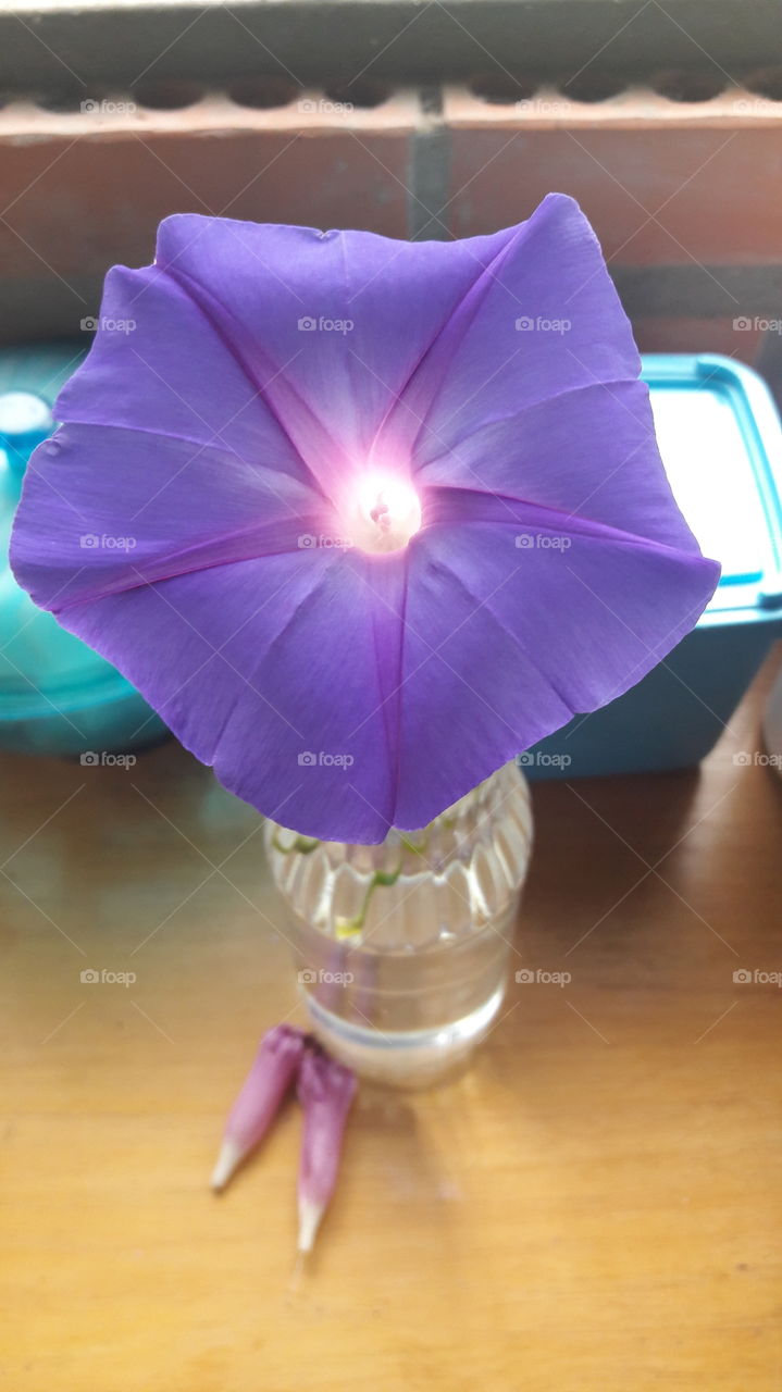 That inner light ...