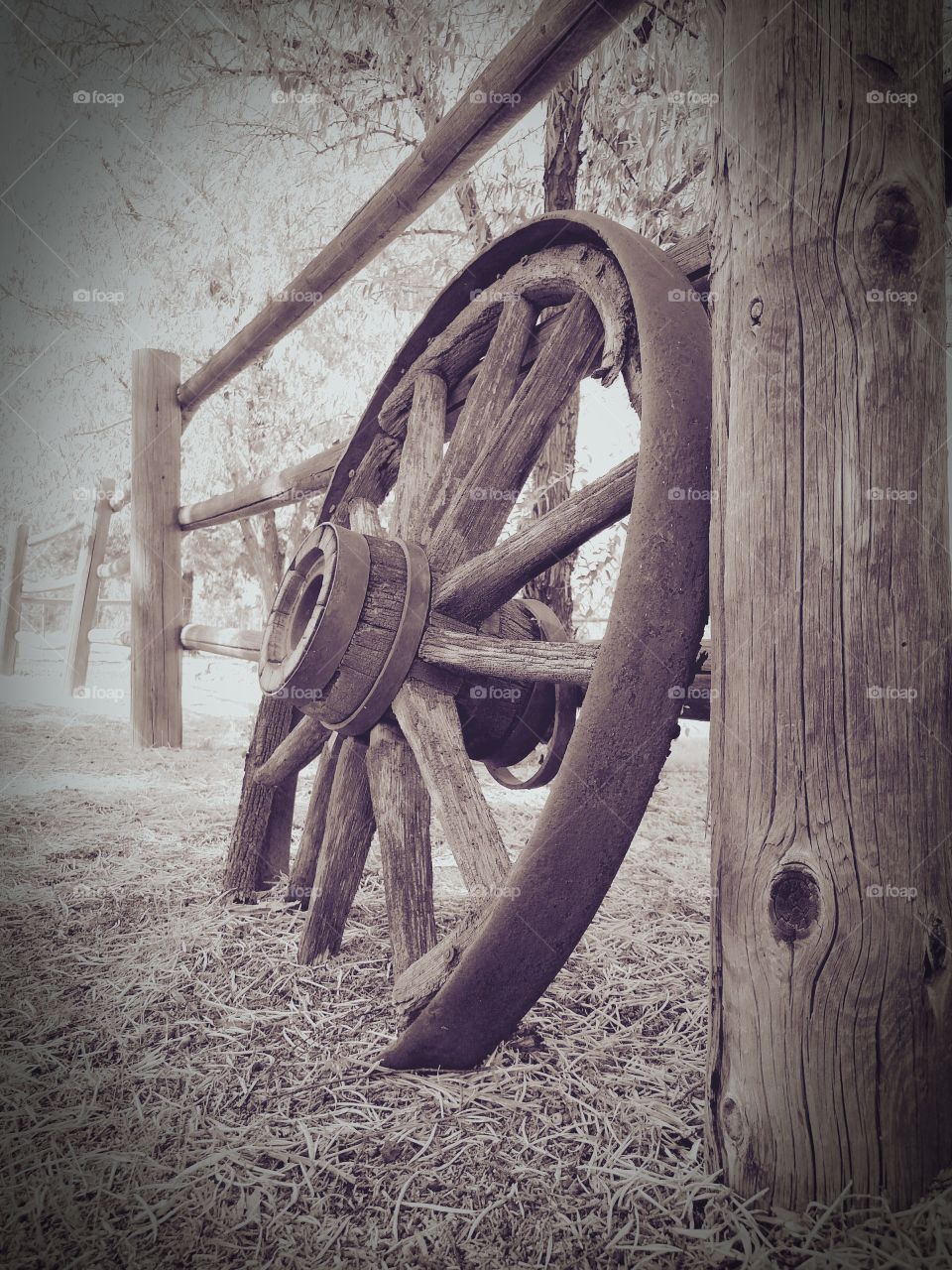 Old wooden wheel on hay