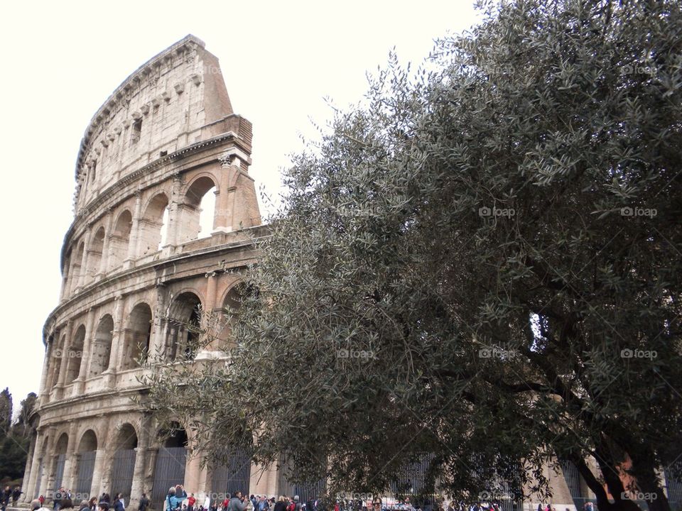 Colosseum 