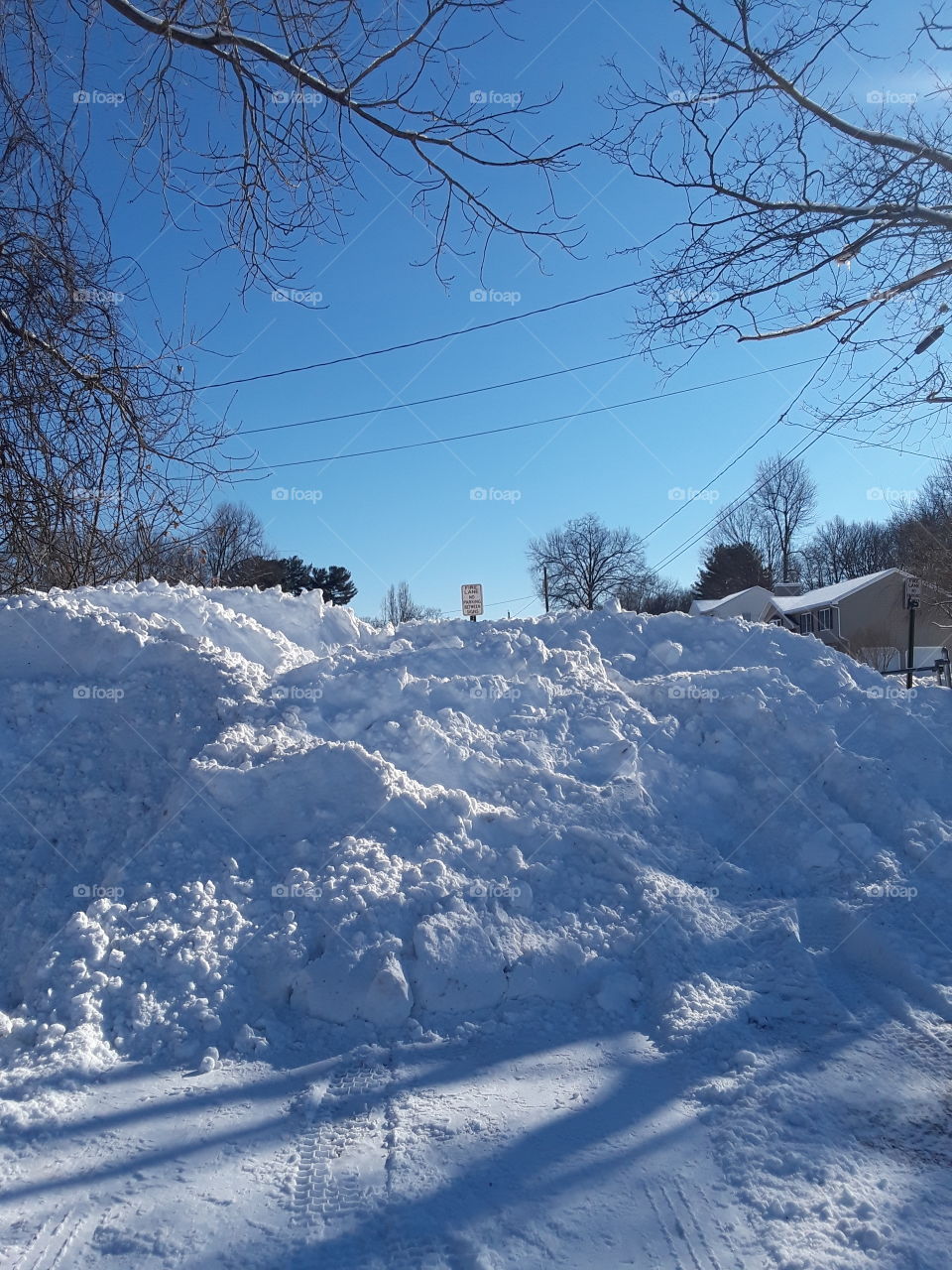 snow plowed from last night