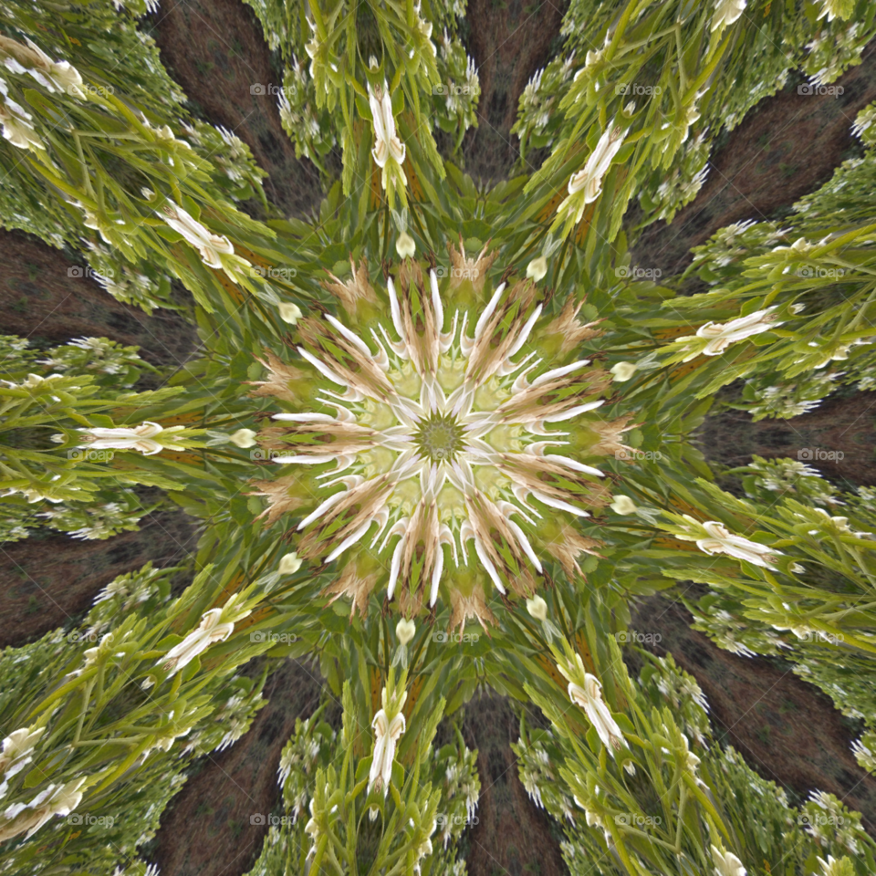 kaleidoscope design with white flowers, background image,