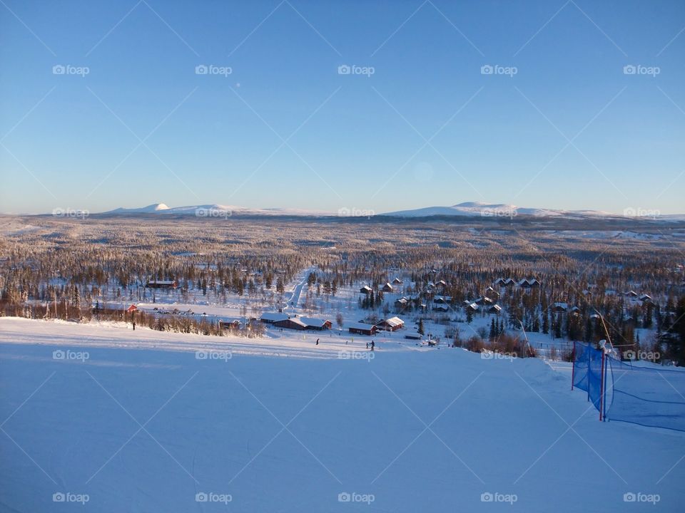 Winter landscape
